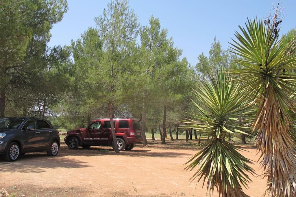 Gran Casa, Lagunas De Ruidera, Bbq, Porche, Chimenea Экстерьер фото