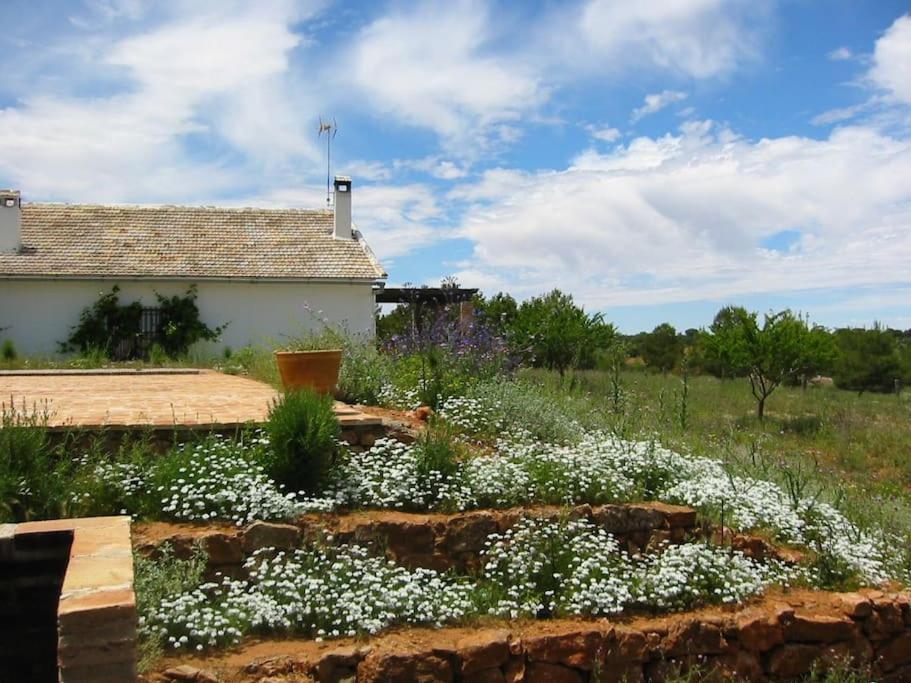 Gran Casa, Lagunas De Ruidera, Bbq, Porche, Chimenea Экстерьер фото