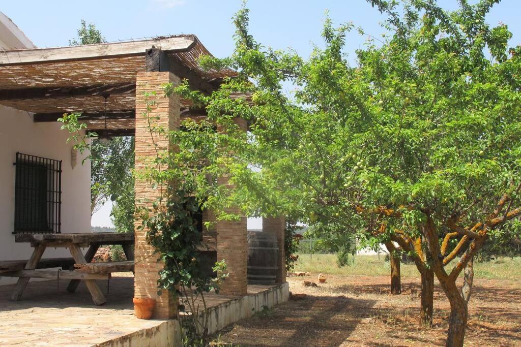 Gran Casa, Lagunas De Ruidera, Bbq, Porche, Chimenea Экстерьер фото